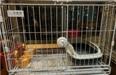 猫笼、狗笼-99新