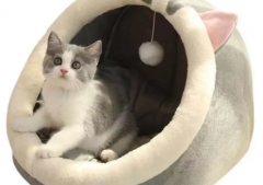 亚马逊热卖款猫窝亏本甩卖