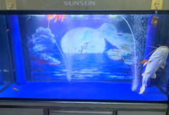 森森定制鱼缸
